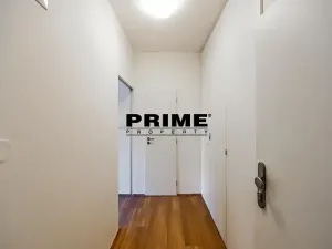 Pronájem bytu 1+kk, Praha - Vinohrady, Lucemburská, 30 m2