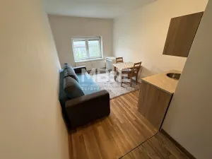 Pronájem bytu 1+kk, Bohumín - Nový Bohumín, Kostelní, 17 m2