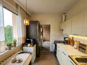 Prodej bytu 2+1, Třebíč - Borovina, Řípovská, 54 m2