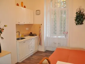 Pronájem bytu 1+kk, Brno, Ptašínského, 18 m2
