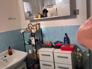 Pronájem rodinného domu, Dobříč, 90 m2