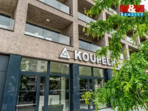 Prodej bytu 1+kk, Praha - Žižkov, Tetauerova, 33 m2