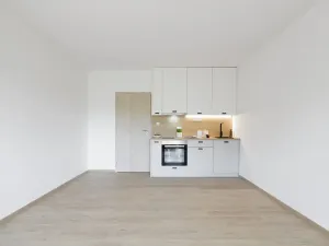 Pronájem bytu 1+kk, Slaný, Lázeňská, 33 m2