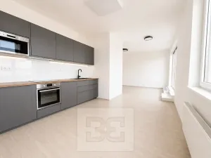 Pronájem bytu 3+kk, Brno, Střední, 90 m2