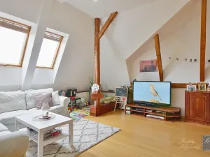 Prodej bytu 2+1, Ústí nad Labem, U Nemocnice, 90 m2