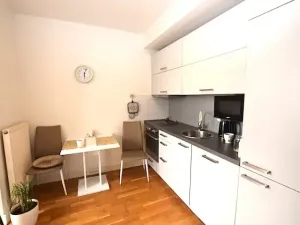 Pronájem bytu 1+kk, Dobříš, U Pivovaru, 30 m2