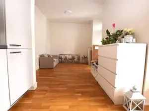 Pronájem bytu 1+kk, Dobříš, U Pivovaru, 30 m2