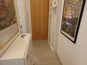 Pronájem bytu 1+kk, Praha - Podolí, Brabcova, 44 m2
