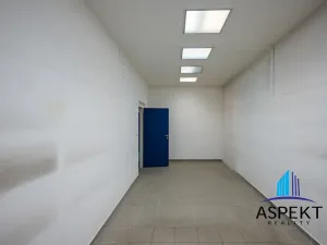 Pronájem obchodního prostoru, Praha - Kobylisy, U třešňovky, 224 m2