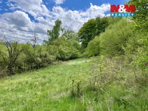 Prodej louky, Lipnice nad Sázavou, 4450 m2