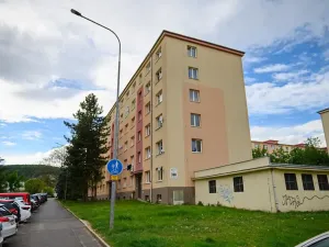 Pronájem bytu 2+1, Most, Maxe Švabinského, 55 m2