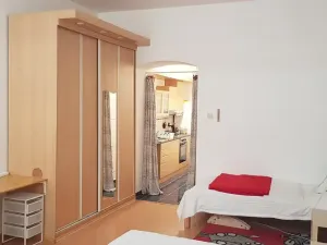 Pronájem bytu 1+1, Brno, Ptašínského, 40 m2