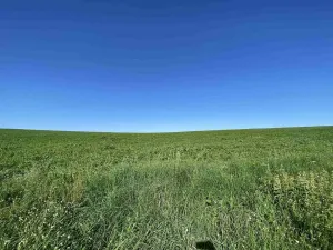 Prodej pole, Křešín, 6536 m2