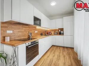 Prodej bytu 2+kk, Praha - Žižkov, Pod lipami, 53 m2