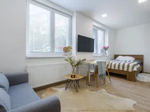 Pronájem bytu 1+kk, Zlín, Štefánikova, 24 m2