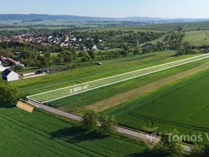 Prodej pole, Velešovice, 2950 m2