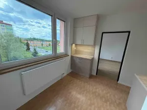 Pronájem bytu 3+1, Jihlava, S. K. Neumanna, 74 m2