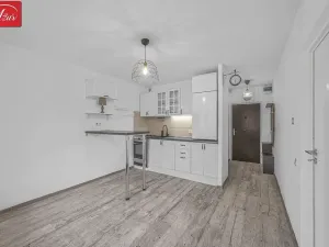 Pronájem bytu 2+kk, Teplice, Jankovcova, 39 m2