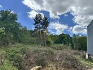 Prodej pozemku, Boršov nad Vltavou, Šumavská, 3633 m2