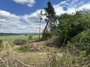 Prodej komerčního pozemku, Boršov nad Vltavou, Šumavská, 3633 m2