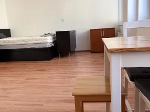 Pronájem bytu 1+kk, Praha - Nusle, Bartoškova, 36 m2