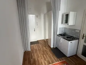 Pronájem bytu 1+kk, Praha - Vinohrady, Budečská, 20 m2