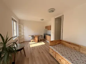 Pronájem bytu 1+kk, Mladá Boleslav - Mladá Boleslav II, Čechova, 26 m2