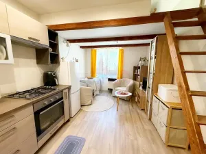 Prodej bytu 2+kk, Praha - Podolí, Nedvědovo náměstí, 69 m2
