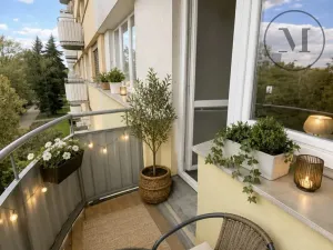 Pronájem bytu 2+kk, České Budějovice, J. Opletala, 38 m2