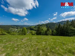 Prodej chalupy, Velké Karlovice - Malé Karlovice, 60 m2
