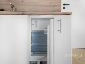 Pronájem bytu 2+kk, Praha - Nusle, Sezimova, 51 m2
