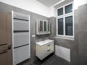 Pronájem bytu 3+kk, Teplice, Pražská, 44 m2