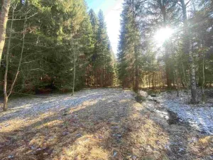 Prodej pole, Čachrov - Javorná, 10377 m2