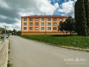 Prodej bytu 3+1, Mladá Vožice, Souhradí, 63 m2