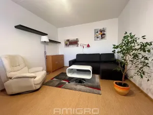 Pronájem bytu 3+1, Mokrá-Horákov, 72 m2