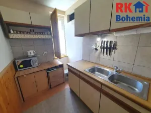 Prodej bytu 1+1, Benátky nad Jizerou, Dražická, 42 m2