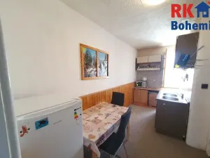 Prodej bytu 1+1, Benátky nad Jizerou, Dražická, 42 m2