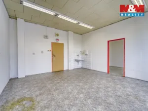 Pronájem kanceláře, Nepomuk, Na Vinici III., 60 m2