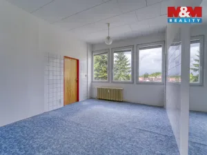 Pronájem obchodního prostoru, Nepomuk, Na Vinici III., 39 m2