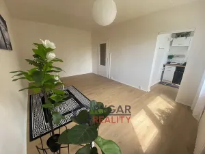 Prodej bytu 1+kk, Praha - Chodov, Benkova, 30 m2
