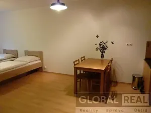 Pronájem bytu 2+kk, Jihlava, Březinova, 54 m2