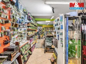 Prodej činžovního domu, Štětí, Cihelná, 2882 m2