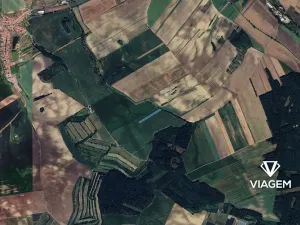 Prodej pole, Hovorany, 6419 m2