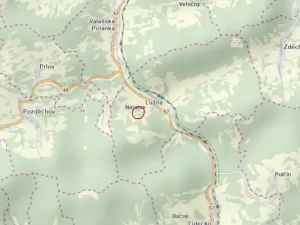 Prodej lesa, Lužná, 3755 m2