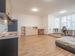 Pronájem bytu 1+kk, Čistá, 45 m2