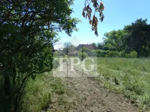 Prodej pozemku pro bydlení, Opolany, 1144 m2