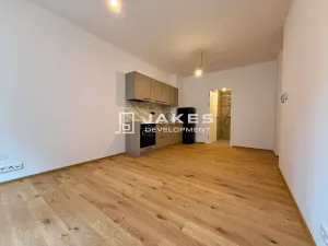 Pronájem bytu 1+kk, Praha - Břevnov, Pod Drinopolem, 30 m2