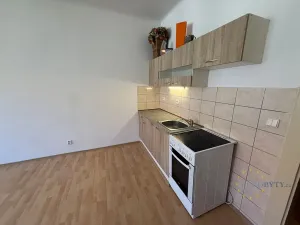 Pronájem bytu 1+kk, Praha - Nusle, Žateckých, 40 m2