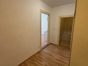 Pronájem bytu 1+kk, Praha - Nusle, Žateckých, 40 m2