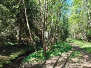 Prodej chaty, Stříbro, 39 m2